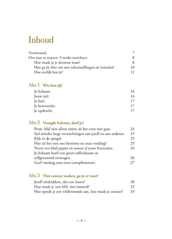 Het Gouden Boekje inzichten - Afbeelding 3
