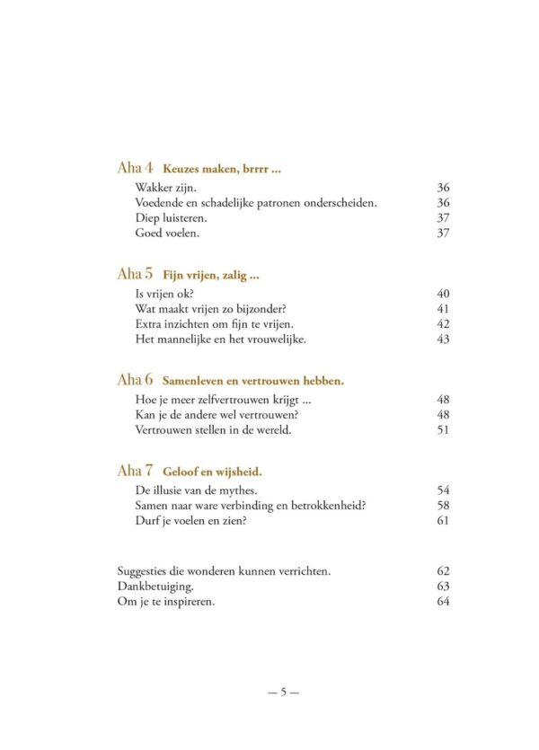 Het Gouden Boekje inzichten - Afbeelding 4